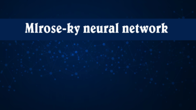 mlrose-ky-neural-network