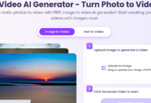 Vidnoz AI's Text-to-Video and Image-to-Video Tools